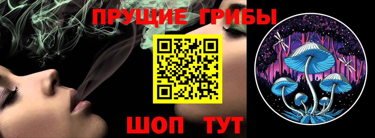 Галлюциногенные грибы Magic Shrooms  где купить   Заринск  Галлюциногенные грибы ЛСД  Вход с VPN 